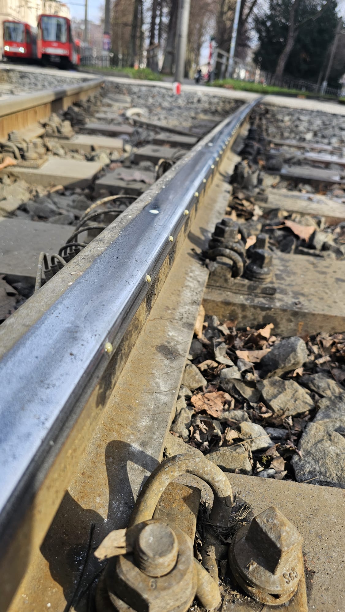 Image 2026-02-09 at 13.35.43 (2)